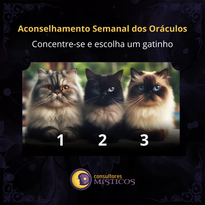 Aconselhamento Seman...